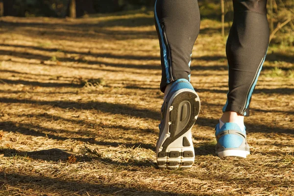 Lauftraining im Wald bei Sonnenuntergang — Stockfoto