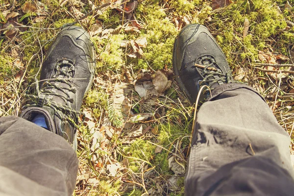 Primer plano de las piernas del excursionista en el bosque — Foto de Stock