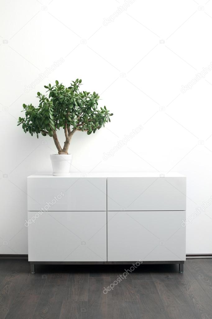 white chest of drawers with flower pot in bright interior
