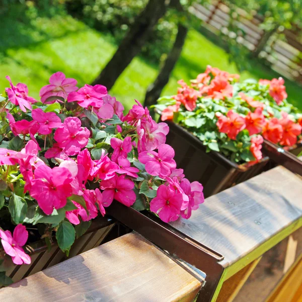 Balkon bloembakken gevuld is met bloemen — Stockfoto