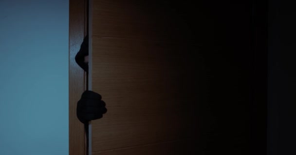 Een Inbreker Die Nachts Inbreekt Een Huis Home Security Verzekering — Stockvideo