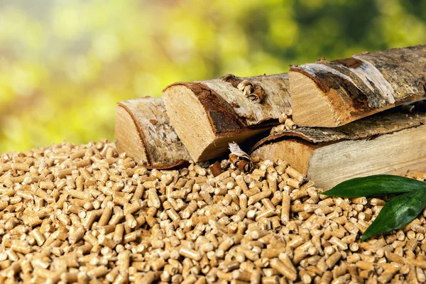 Pellets Madera Con Leña Abedul Energía Sostenible Biomasa —  Fotos de Stock