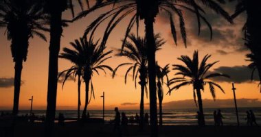 Palmiye ağaçlarının siluetleri ve gün batımında sahilde yürüyen insanlar. Tenerife, Kanarya Adaları