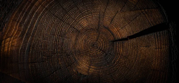 Обожженная Текстура Дерева Поперечное Сечение Дерева Banner — стоковое фото