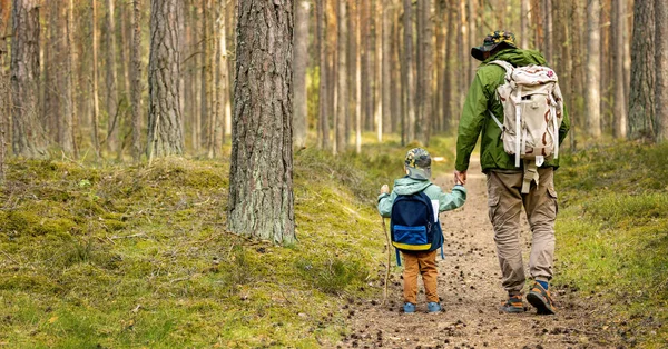 Pai Filho Uma Caminhada Aventura Floresta Atividades Ligação Natureza Explorar — Fotografia de Stock