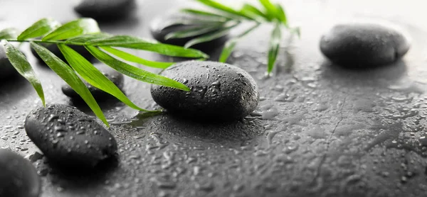 Tratamiento Spa Piedras Masaje Hojas Verdes Sobre Fondo Húmedo Negro —  Fotos de Stock