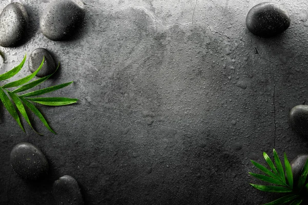 Spa Tedavisi Siyah Masaj Taşları Islak Kaya Zemininde Yeşil Yapraklar — Stok fotoğraf