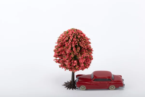 Ένα αυτοκίνητο συνετρίβη ένα δέντρο — Φωτογραφία Αρχείου