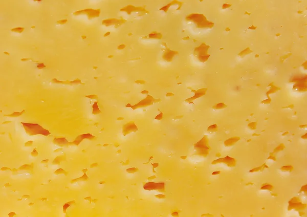 Texture of yellow cheese Stock Picture