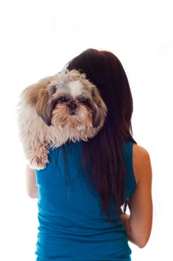 shi tsu köpek kadınla