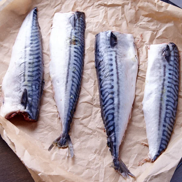 Mackerel uncoocked fillet — Stock Photo, Image