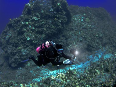 Scuba diver hawaiian bir resif fotoğraf çekimi