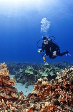 Scuba diver kona Hawaii bir kamera ile