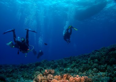 Dalgıçların başlık tekneye geri