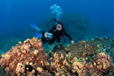 Scuba diver hawaiian bir resif üzerinde fotoğraf çekme