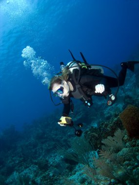 resif üzerinde Yüzme sualtı fotoğrafçısı