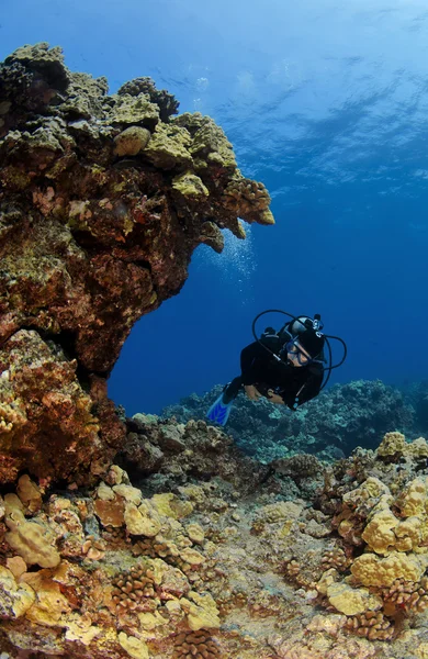 Buceador mirando un arrecife Kona — Foto de Stock