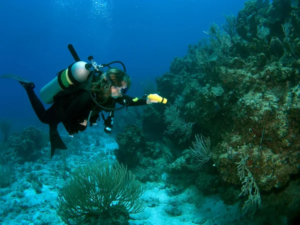 Diver esplorare la barriera corallina con una torcia elettrica — Foto Stock