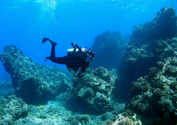 Dykaren simma genom reef — Stockfoto