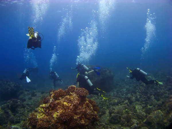 Buzos que salen en un buceo en Hawaii — Foto de Stock