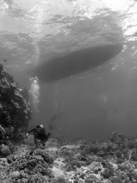 Buceadores nadando a lo largo de un arrecife bajo el barco en blanco y negro —  Fotos de Stock