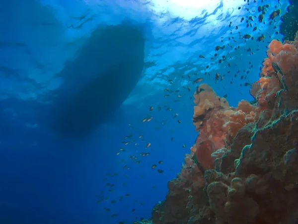 Fantasy Scuba Diving Barca e barriera corallina — Foto Stock