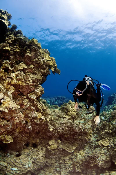 Mujer buzo nadando en un arrecife hawaiano — Stok fotoğraf