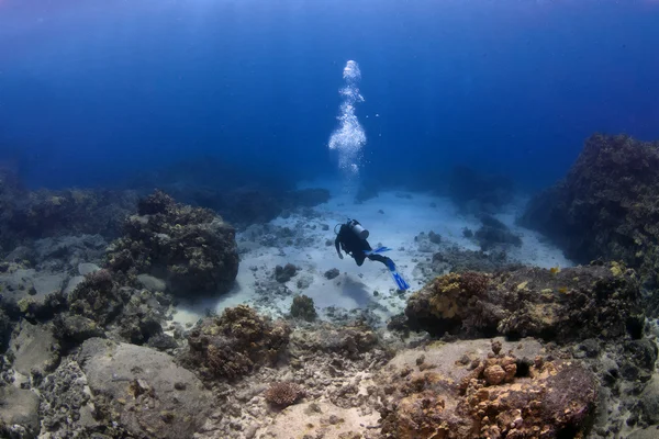 Lone Scuba Diver in missione — Foto Stock