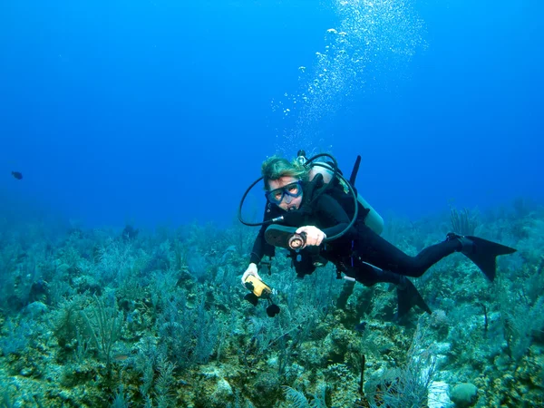 Scuba Diver Checking Gauges — Stock Photo, Image