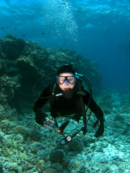 Scuba diver op zoek naar de camera in Hawaï — Stockfoto