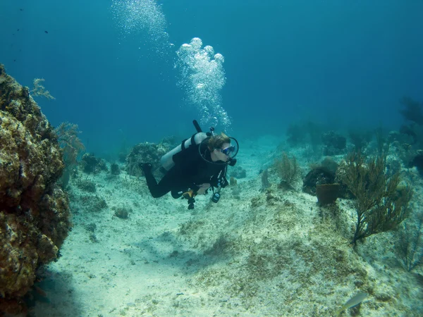 Mergulhador de mergulho nadando sobre um recife da ilha Cayman — Fotografia de Stock