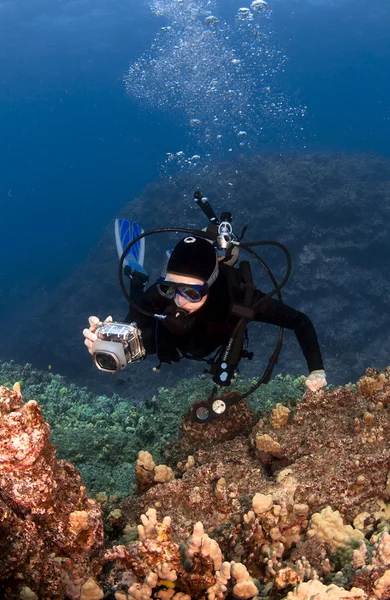 Scuba diver mercan fotoğraf çekimi — Stok fotoğraf