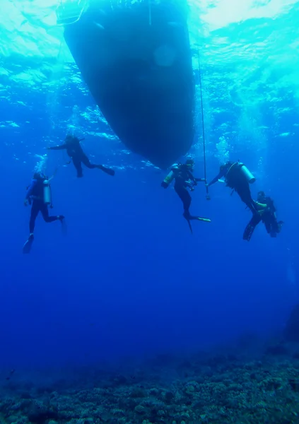 Scuba δύτες για μια στάση ασφαλείας — Φωτογραφία Αρχείου