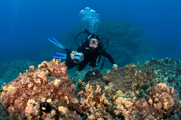 Buceador tomando fotos en un arrecife hawaiano — Foto de Stock