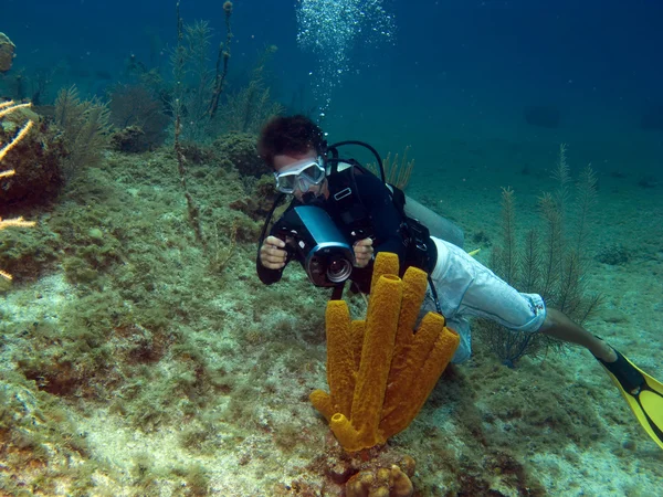 Underwater Vidiographer shooting a Tube Sponge — Stock Photo, Image