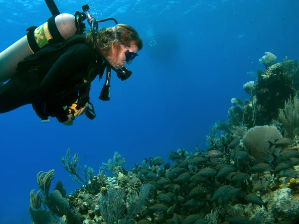 Mujer buceadora mirando una escuela de peces — Foto de Stock