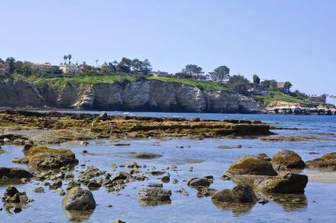 La jolla düşük tide at