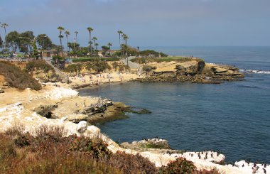 La Jolla Koyu