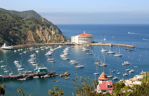 Isola di Catalina — Foto Stock