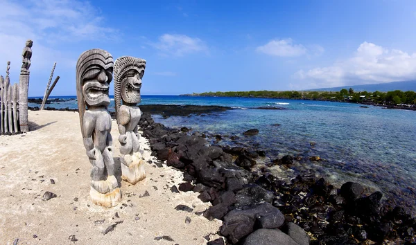 geniş açı tikis, sığınağı yerleştirin