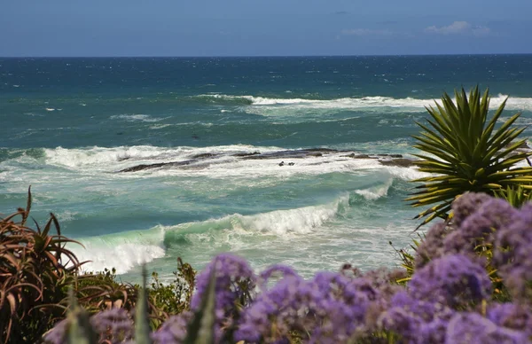 Laguna beach våg och blommor — Stockfoto