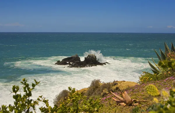 Laguna Beach Rock Splash — Stock Photo, Image