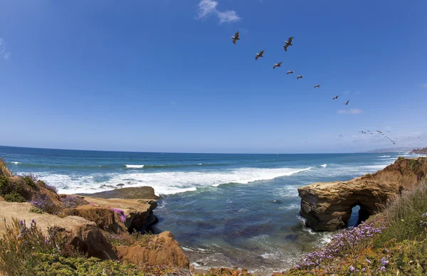 Západ slunce útesy s pelicans — Stock fotografie