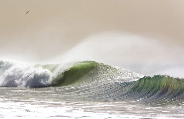 Winter Wave in California — Stock Photo, Image