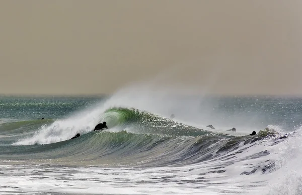 Surfista de ondas de inverno — Fotografia de Stock