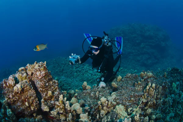 潜水员的礁石拍摄 图库照片