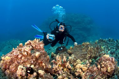 Scuba diver hawaiian bir resif üzerinde fotoğraf çekme
