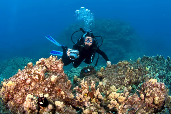 Buceador tomando fotos en un arrecife hawaiano — Foto de Stock