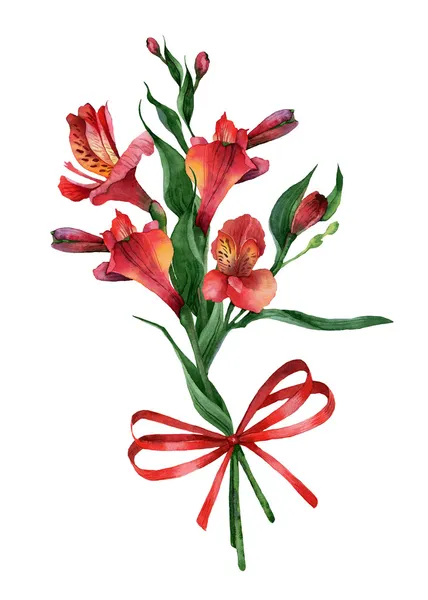 Alstroemeria — Fotografia de Stock