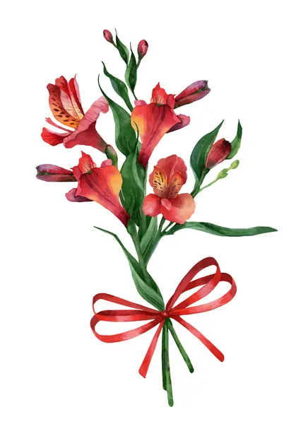 Alstroemeria — Archivo Imágenes Vectoriales